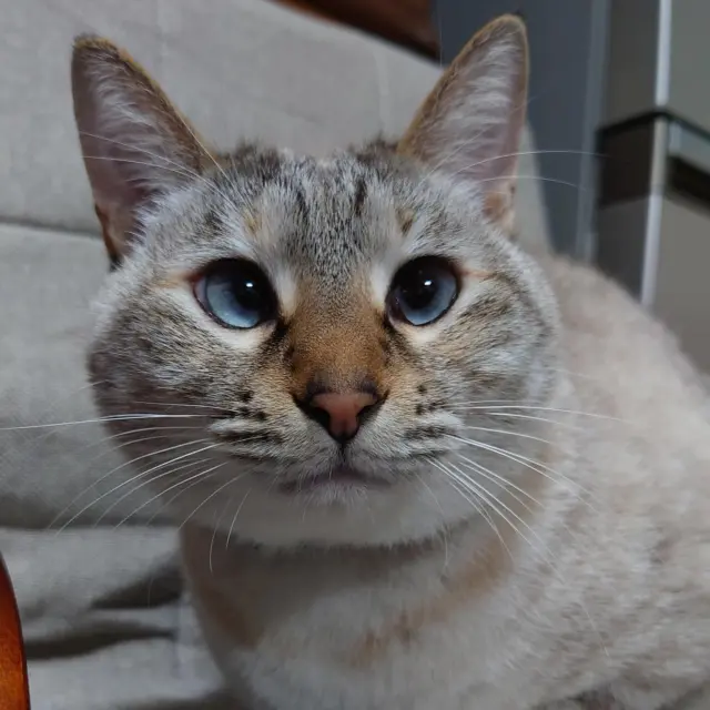 プラスチック加工事業部 | 株式会社 アズサ